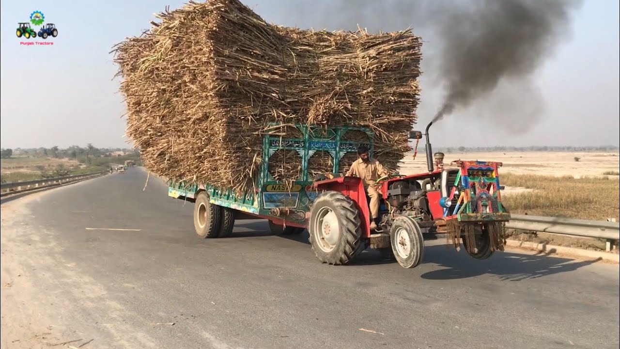Massey Ferguson 240 Small but Thug Tractor Carry Heaviest Sugarcane load Trolley