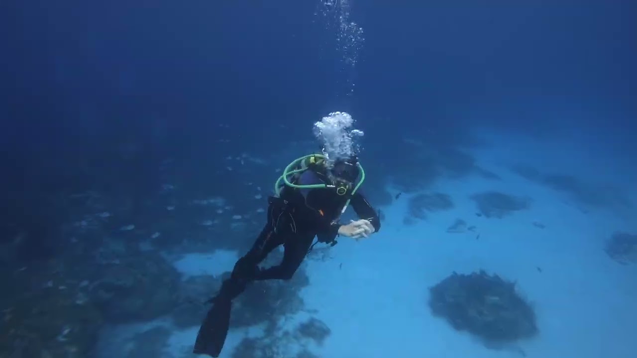 The last day of a week of awesome diving in Cozumel, 3/02/2026.