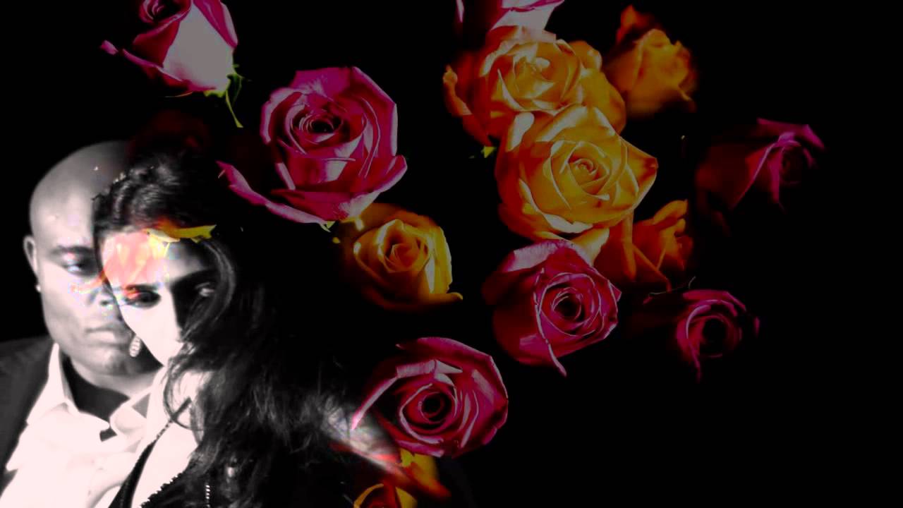 Mina-Mi Mandi Rose