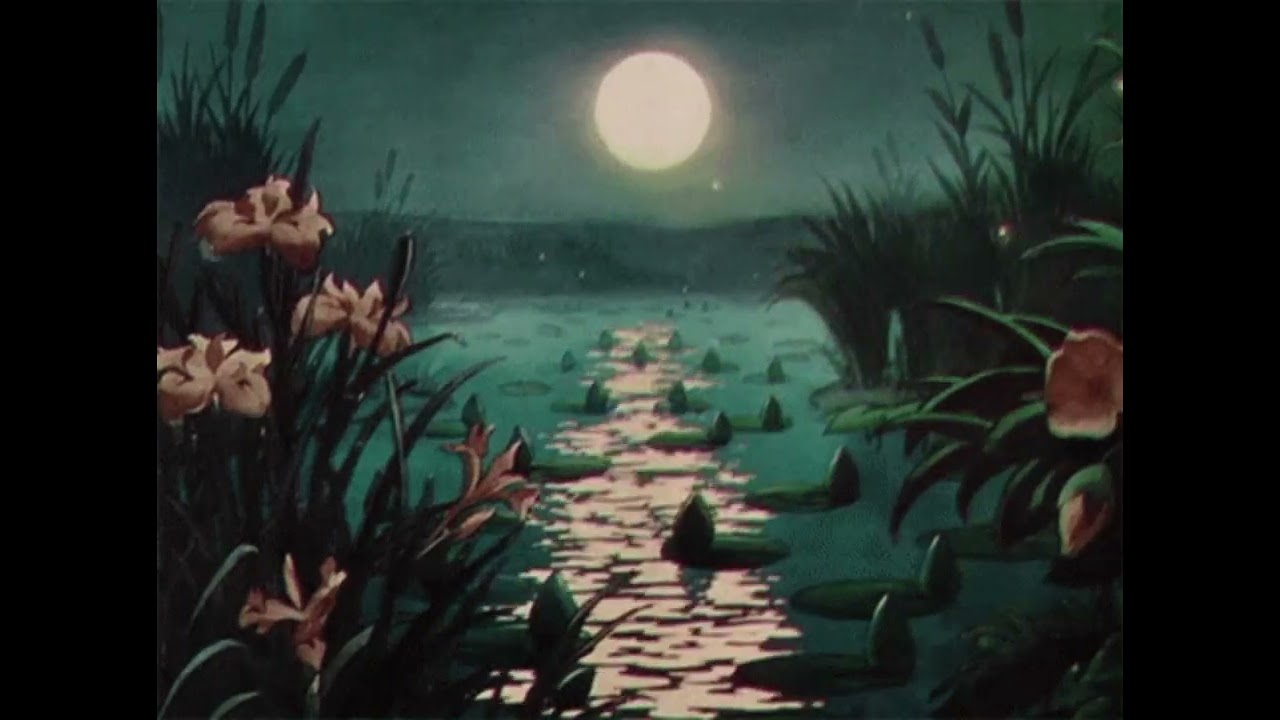 [ no copyright free lofi beat ] – starry lake 