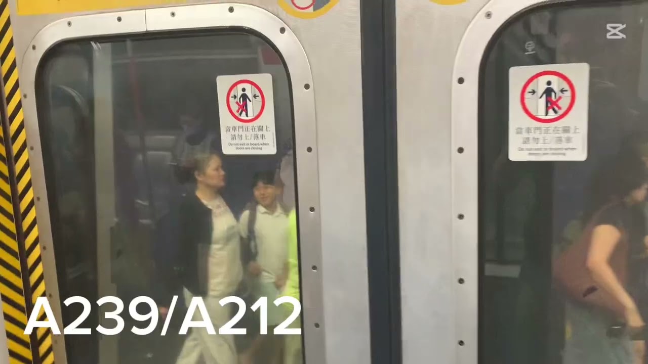 ￼￼荃灣綫及港島綫M-train￼大集合