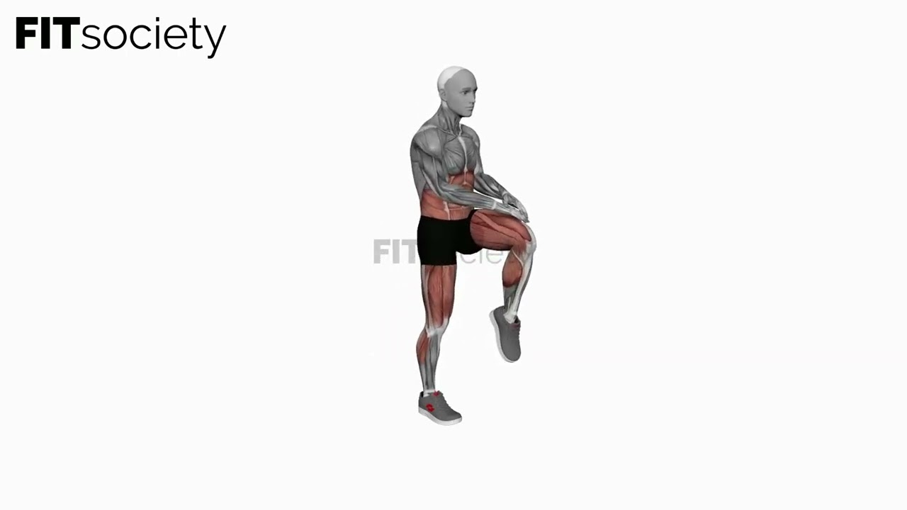 Bodyweight Knee Thrust - Exercise - Fitness Oefening - Fitsociety