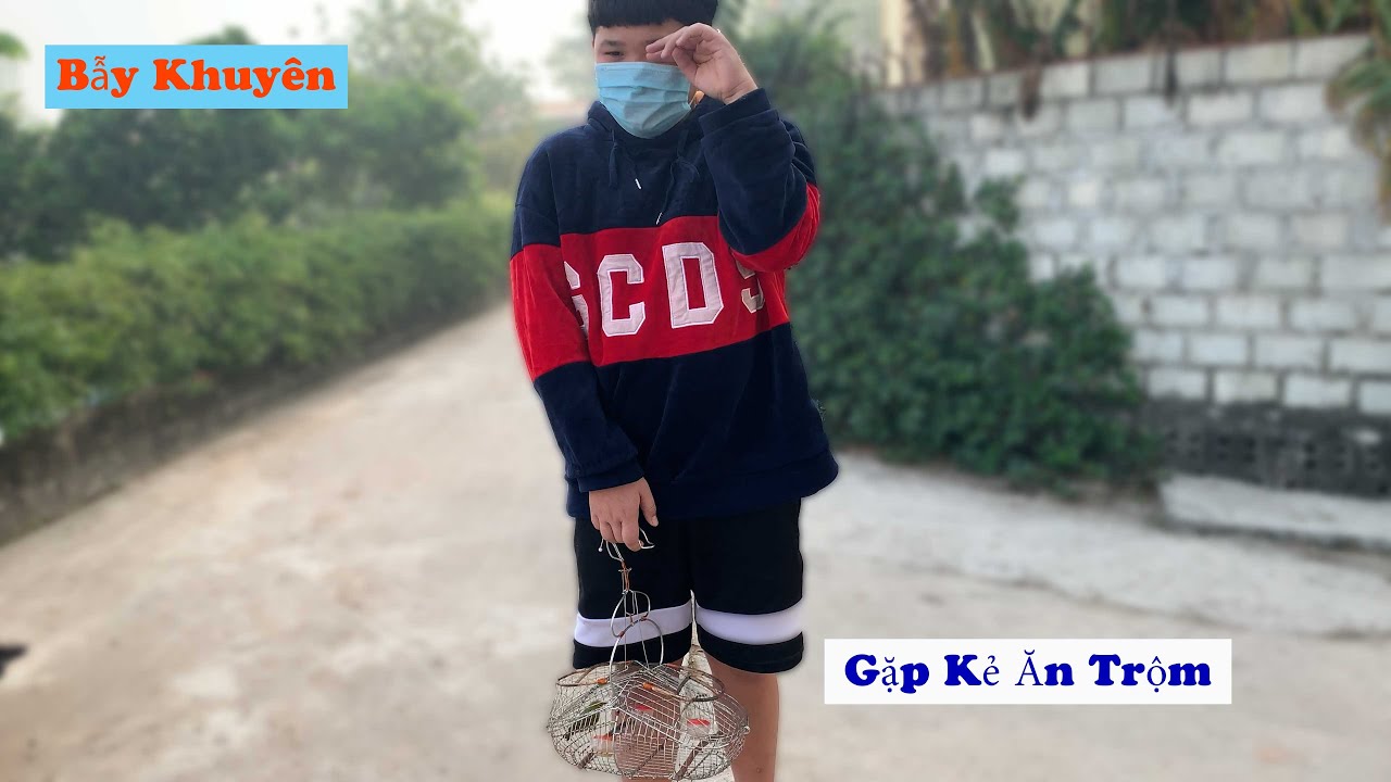Bẫy Chim Khuyên Và Gặp Kẻ Ăn Trộm Lồng Bẫy Của Mình Và Kết Cục/ Chiến Ơi