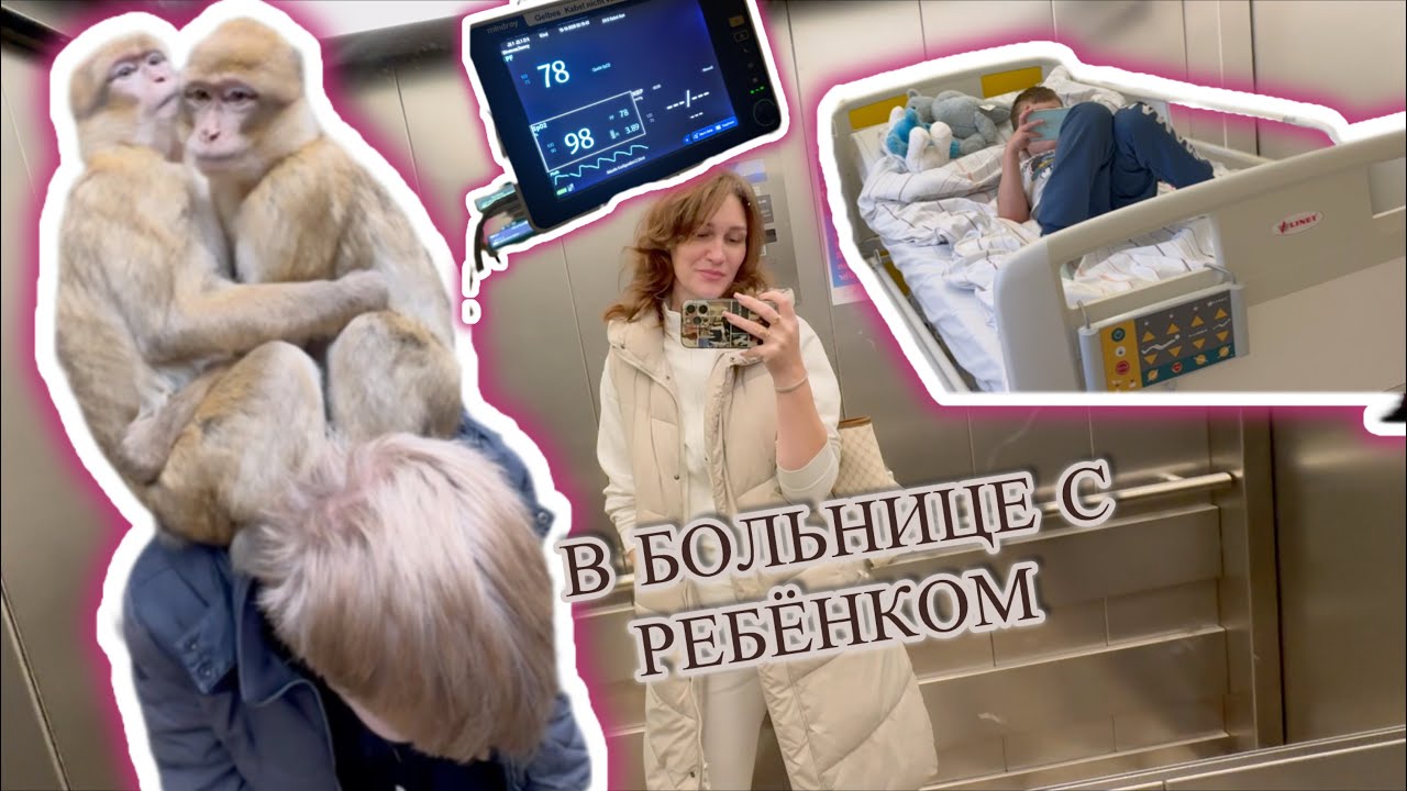 Любовь обезьян/Очередная госпитализация/Мышечный спазм?/Генетические заболевания/Ремонт дивана