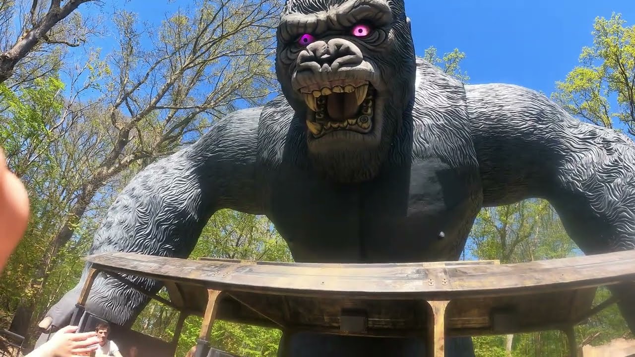 King Kong (Offride) - Parc LE PAL 2022
