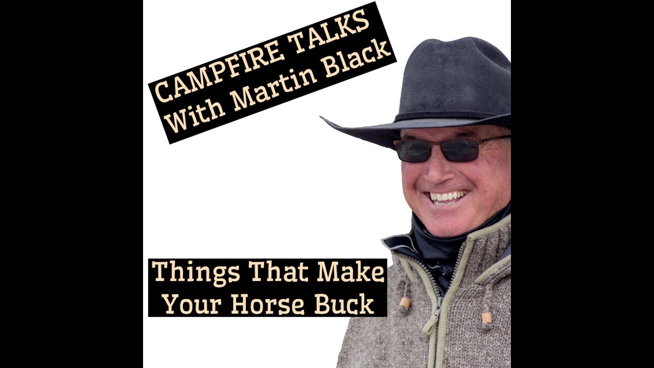 Things that make your horse buck