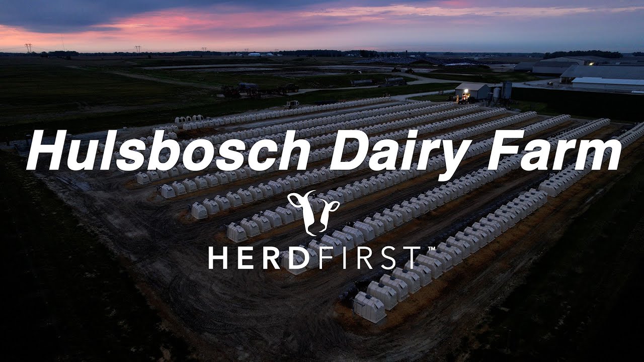 Hulsbosch Dairy Farm HerdFirst Testimonial