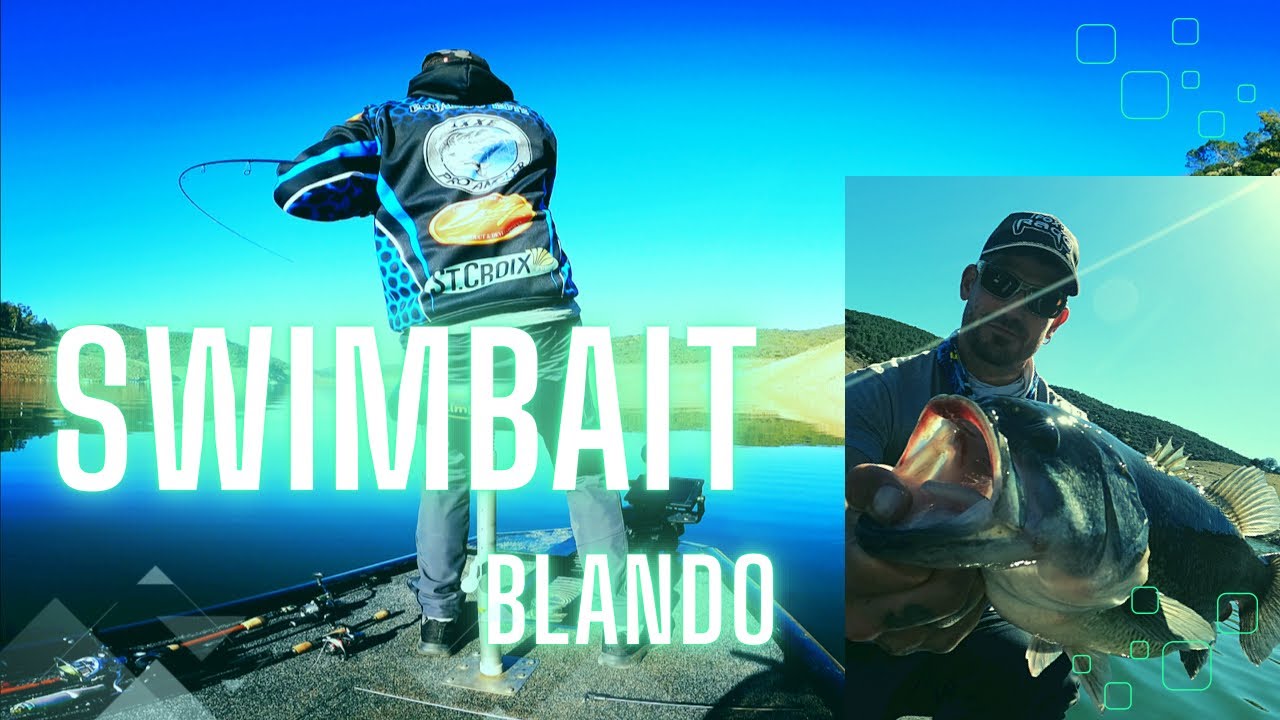 Pescando con agua plato *PECES APATICOS*