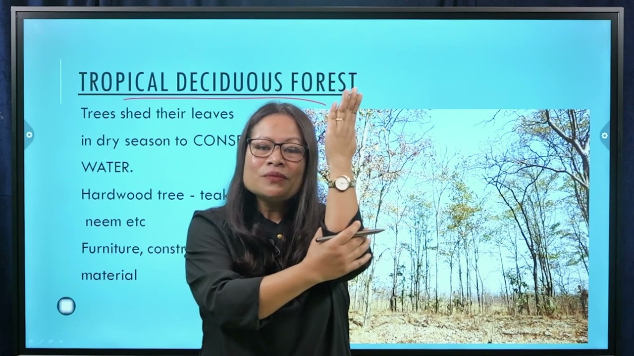 Education | Our Environment Class 7, Chapter 6   Natural Vegetation and Wild Life