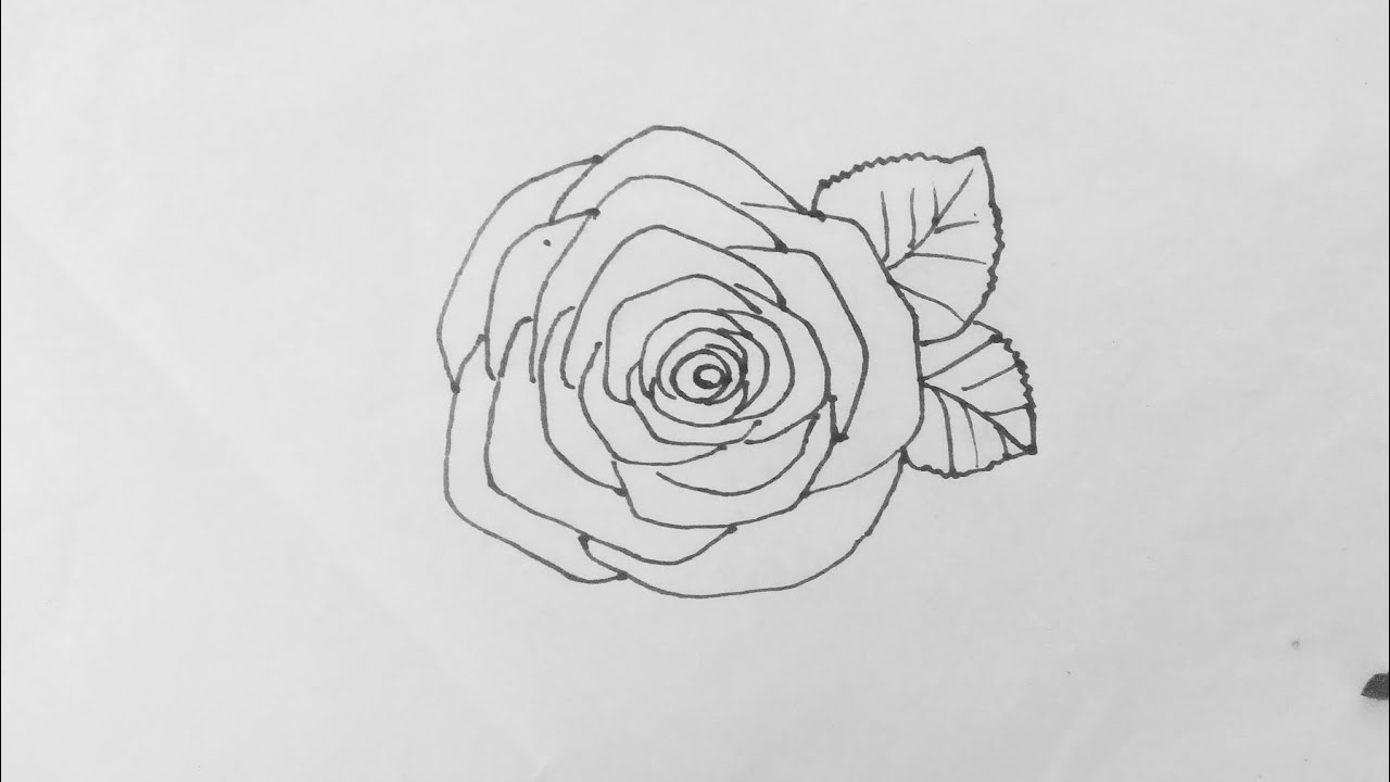 How to Draw a Rose 🌹 Step by Step | Easy drawing tutorial 