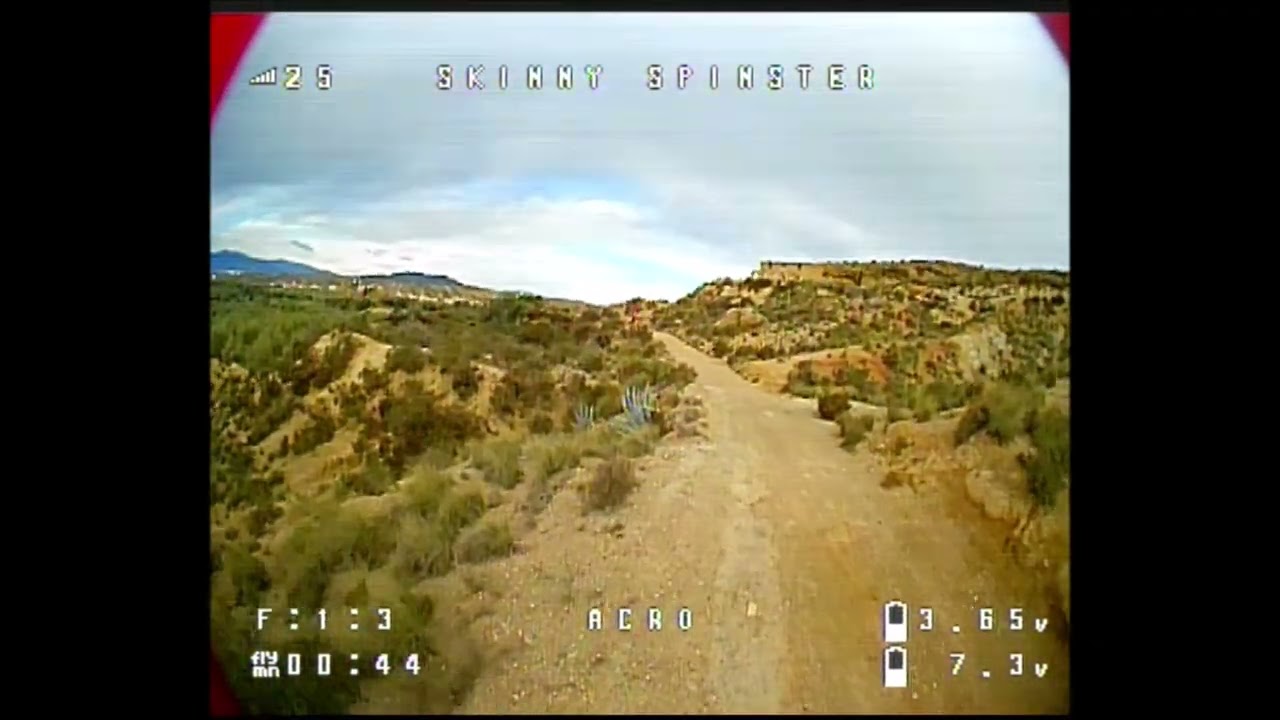 Skinny Spinster FPV: Tuesday Twerk