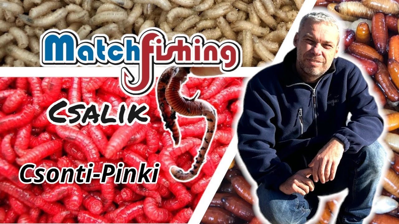 CSONTI-PINKI