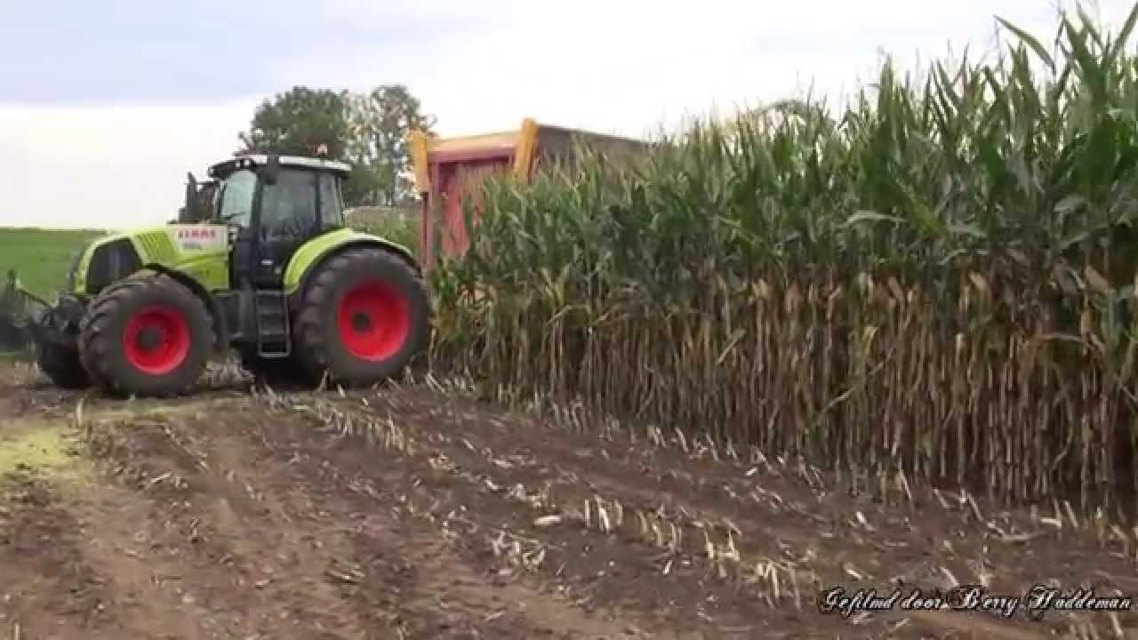 Maishakselen 2014 | Claas Jaguar 870 + RU 450 | Loonbedrijf Marskamp | Maize Harvesting | NL