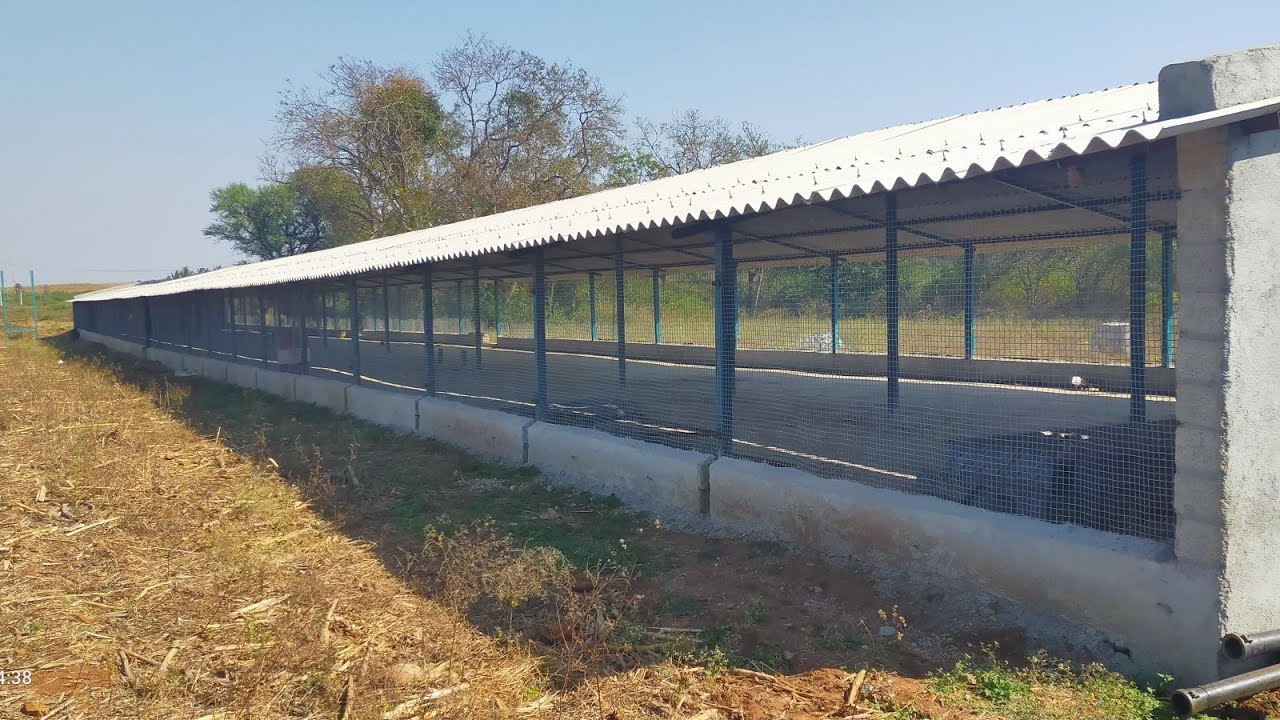 Desi Poultry farm construction Part_3 | ಕೋಳಿ ಫಾರ್ಮ್ | ಕೋಳಿ ಸಾಕಾಣಿಕೆ