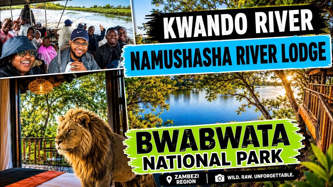 We Saw a lion Up Close! Family Trip at Namushasha River Lodge & Bwabwata National Park | Namibia