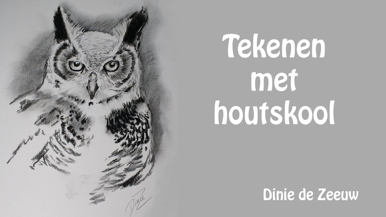 Uil tekenen met houtskool