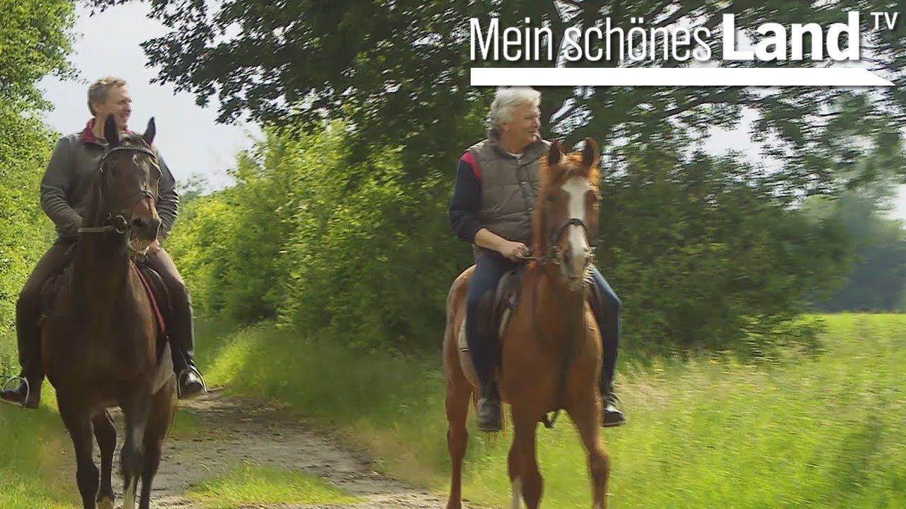 Sommerliches für Küche und Garten von der Nordseeküste - die schönsten Höfe Norddeutschlands (NDR)