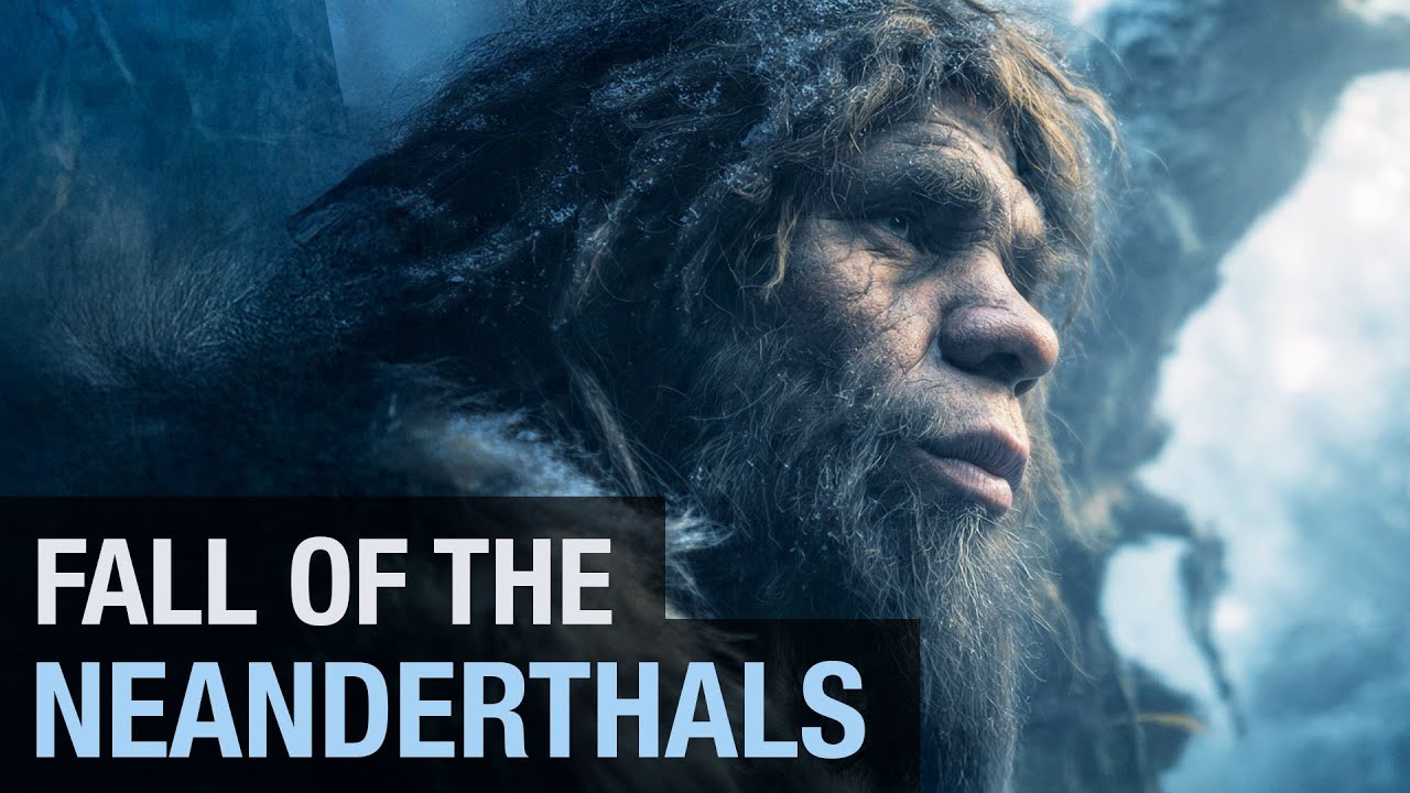 Fall of the Neanderthals (Restful Documentary)