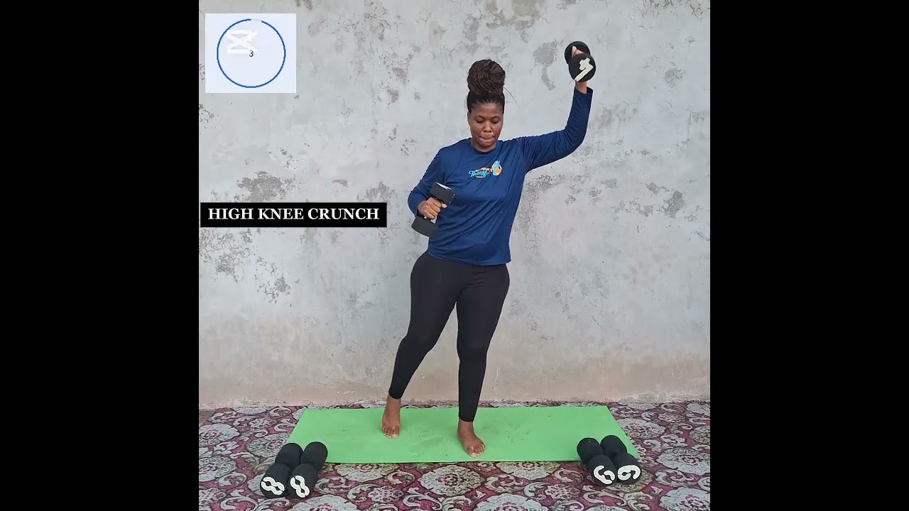 DAY 29 CORE  [HIGH KNEE CRUNCH-FLUTTER KICKS-SINGLE LEG EXTENSION-TOE TAP-CORE STABILIZER]