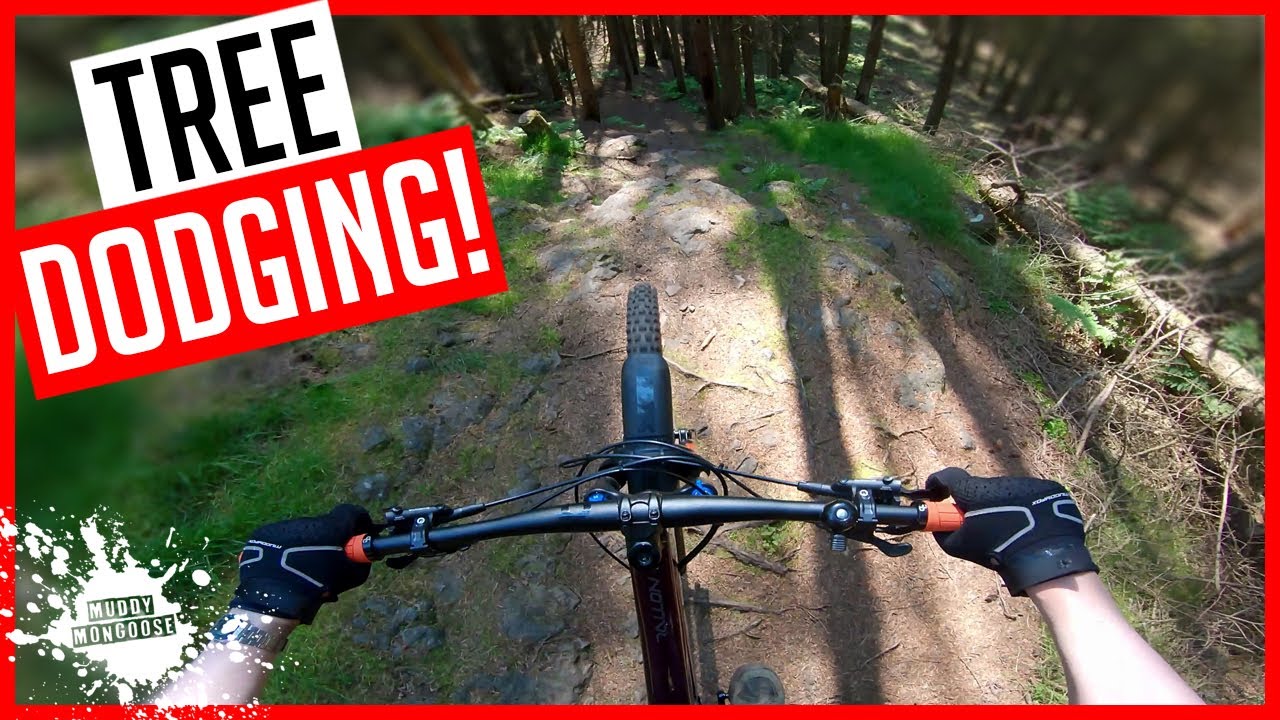 Testing myself at Pitmedden MTB - Fife MTB - Scotland MTB - Black Mamba/Heart of Darkness/TTApeworm
