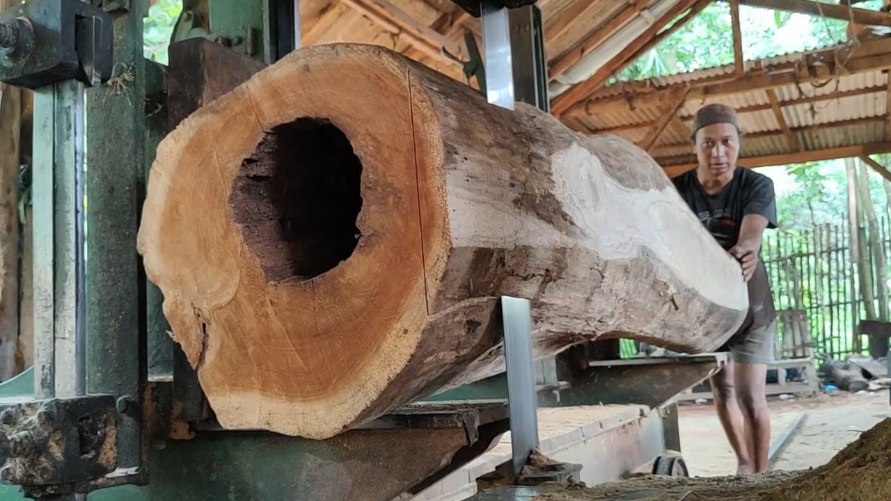 Natural holes in sawmill still make money 