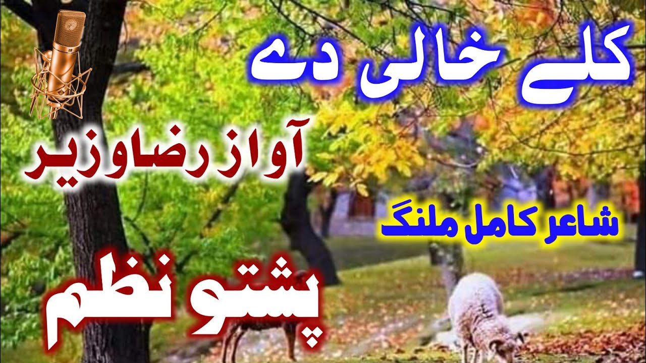 Pashto Nazam | Awaz Raza Wazir |Pashto New Nazam | Kaly Khali dy | Pashto New Trana |Al Nizam Studio