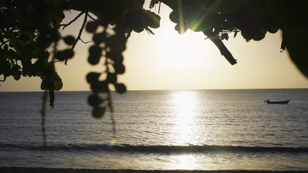 See Why Tobago Is An Idyllic Caribbean Escape