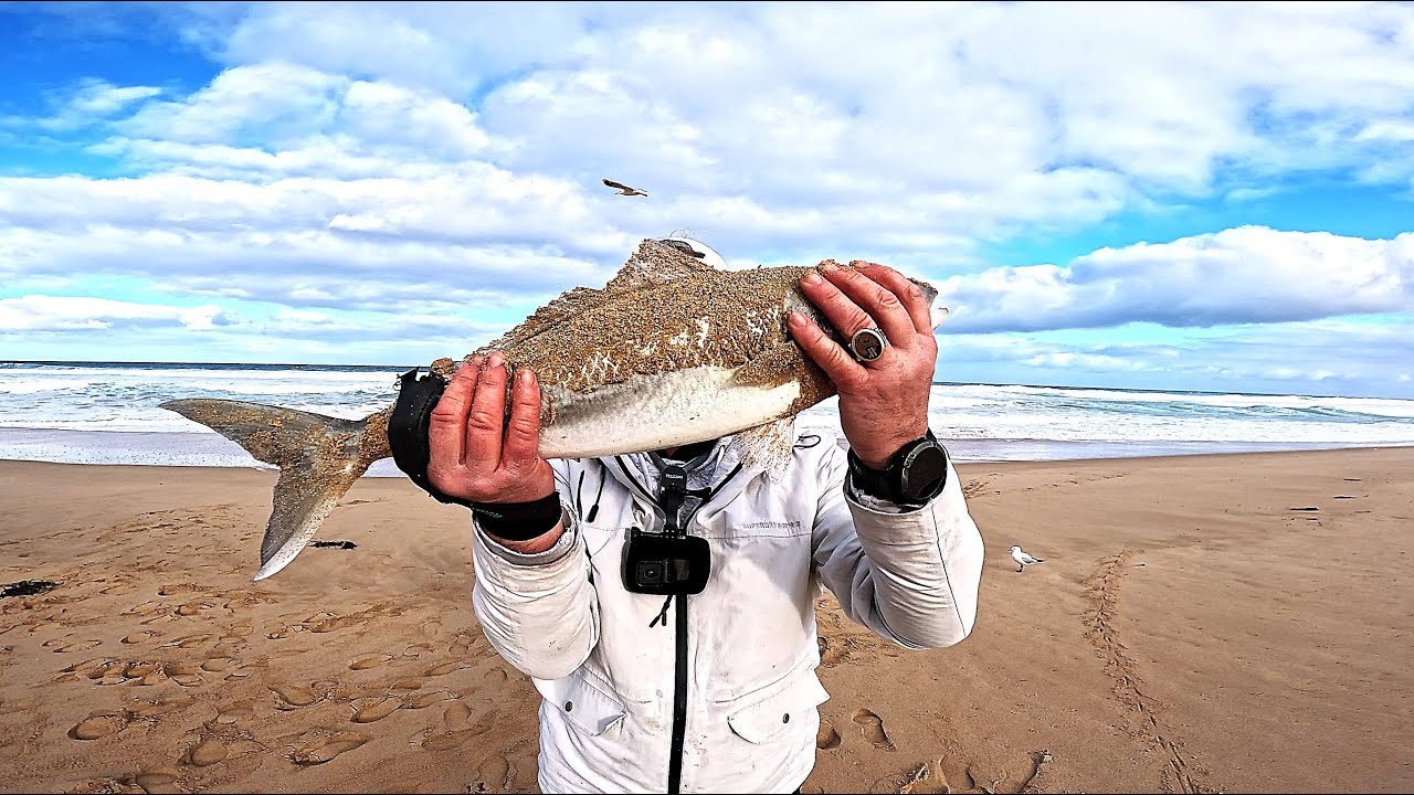 Epic Surf Fishing at Gunnamatta! Hooked a Big One – But Nature Had Other Plans