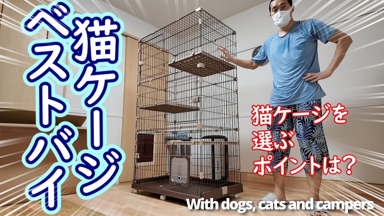#52　猫が安心して過ごすためにケージは必要！猫用ケージに必要な『ポイント５つ』とは？