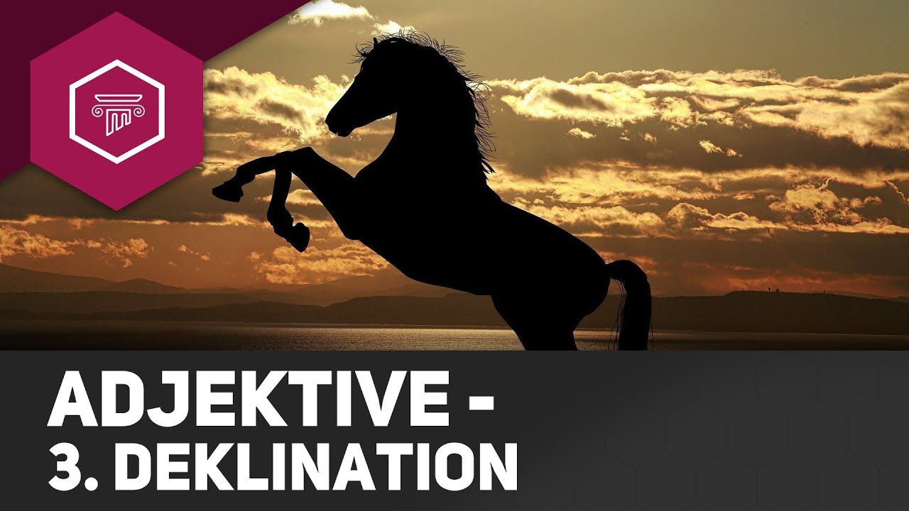 Adjektive der 3. Deklination - Adjektive (3/6)