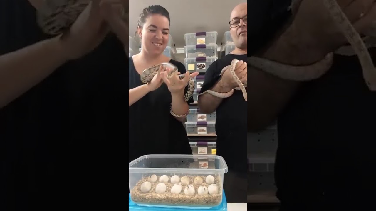 Live du mercredi 3 septembre 2025