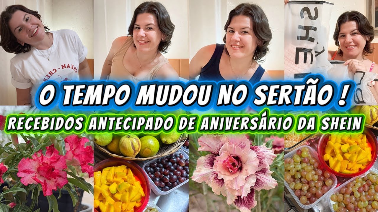 VLOG DO SÁBADO / ORGANIZAÇÃO DAS FRUTAS / RECEBIDOS SHEIN / MOSTREI TODAS AS PEÇAS 
