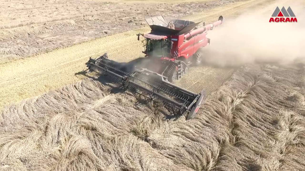 CaseIH 9240 mit MacDon Schneidwerk