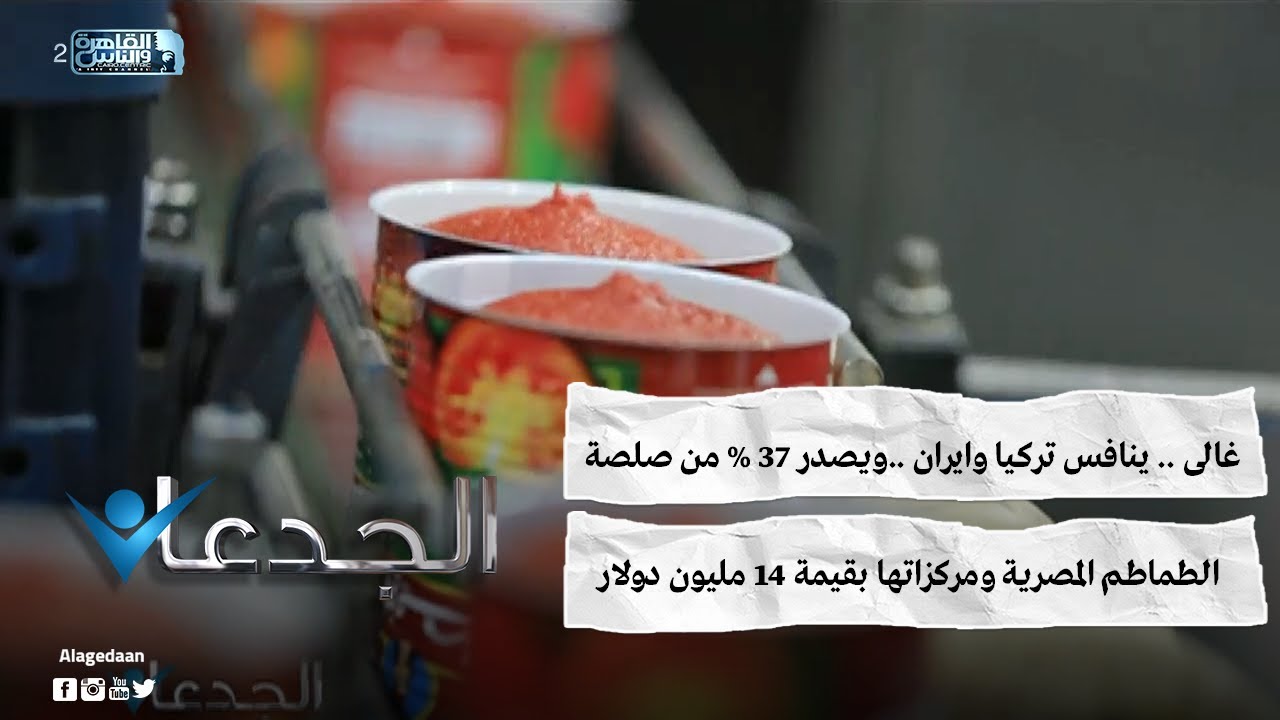 غالى .. ينافس تركيا وايران ..ويصدر 37 % من صلصة الطماطم المصرية ومركزاتها بقيمة 14 مليون دولار