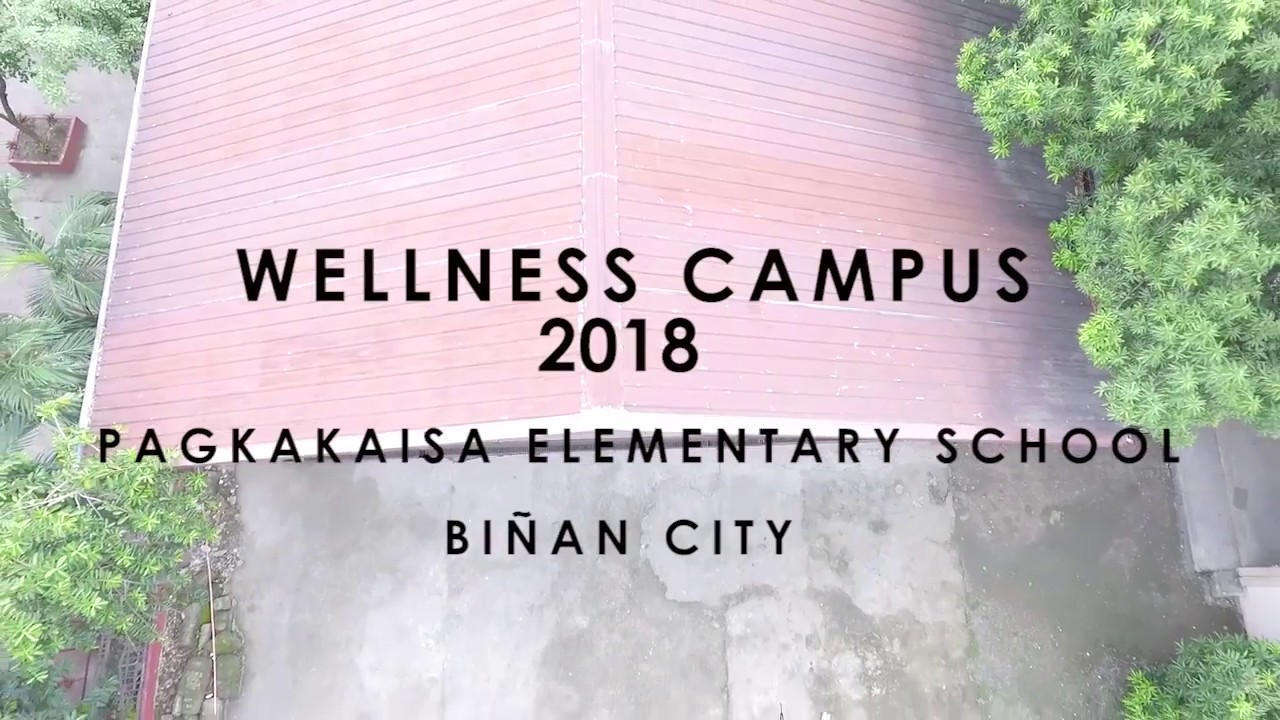 WELLNESS CAMPUS 2018: PAGKAKAISA ELEMENTARY SCHOOL