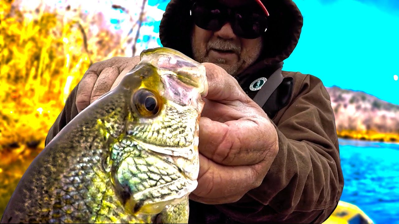 Simple Worm Fishing! How To Catch Loads Of Fish For Dinner Easy With A Simple Rig!