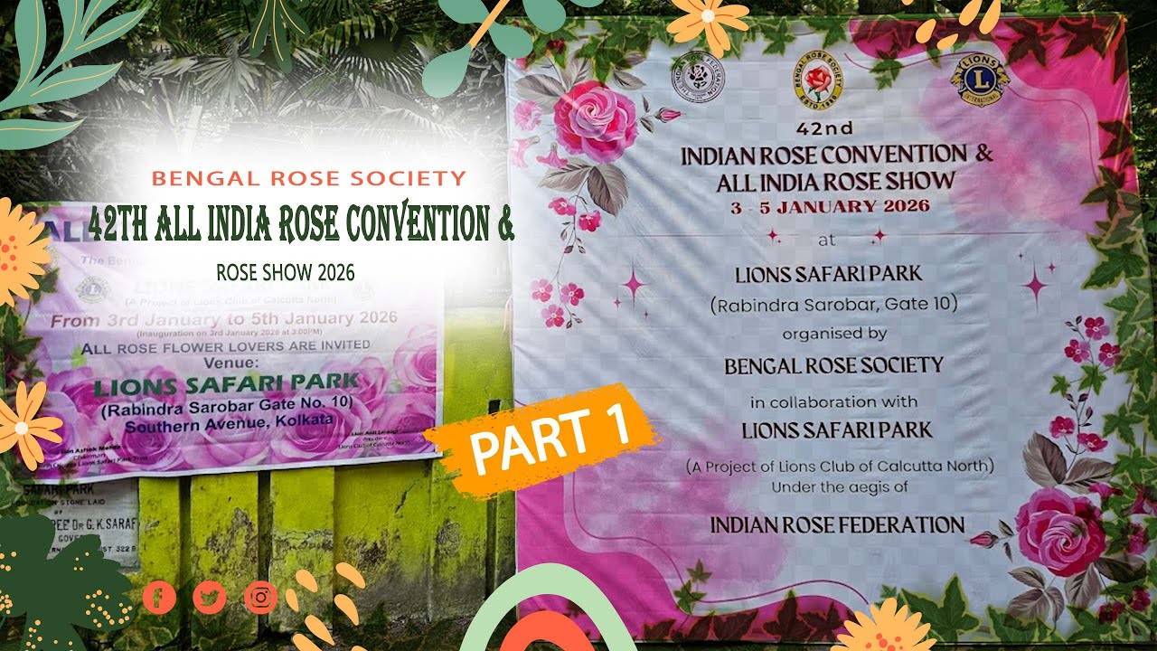 You Won't Believe These Blooms! 42nd All India Rose Show: Full Walkthrough | Kolkata | Part-1