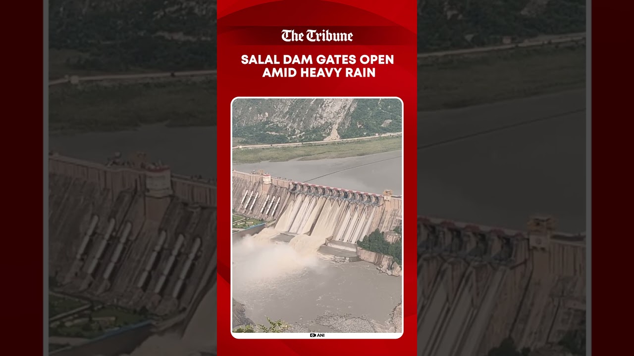 J&K&rsquo;s Salal Dam opens multiple gates as heavy rain raises water levels in Chenab River