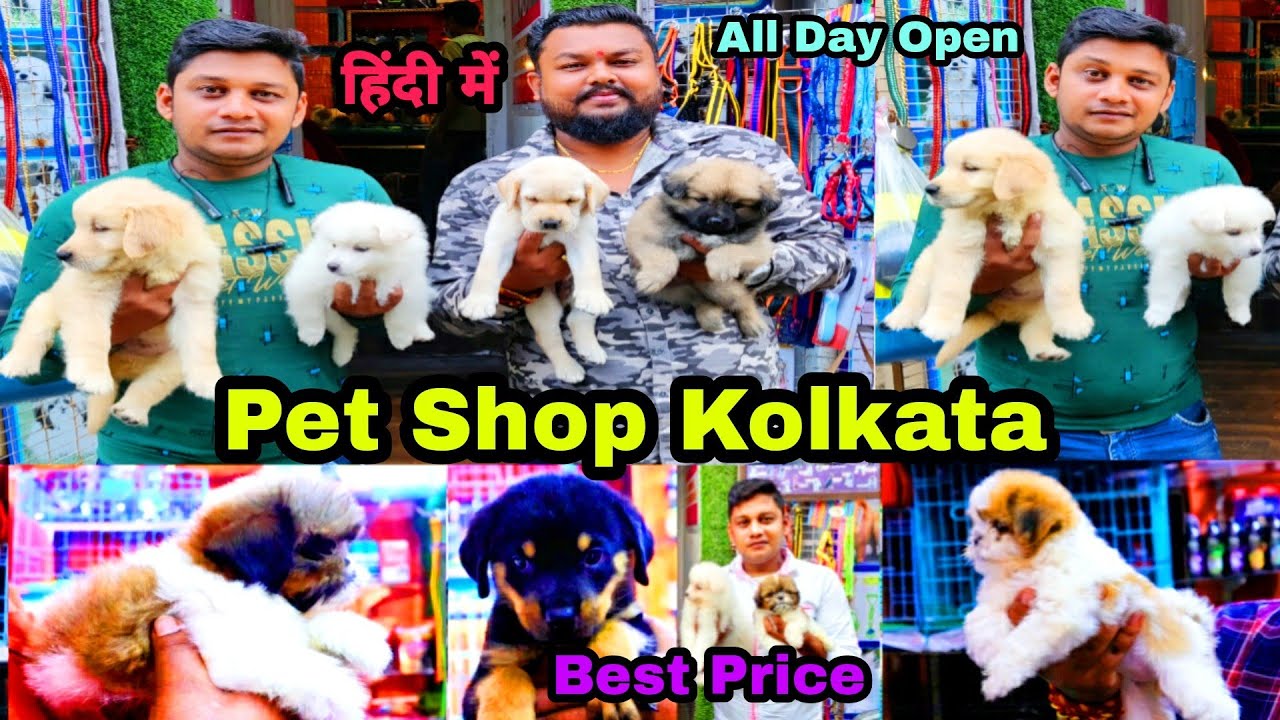 BUY One GET One FREE Diwali & KALI PUJA SPACIAL OFFER Expired | NEW DOG PUPPY SHOP GALIFF STREET PET