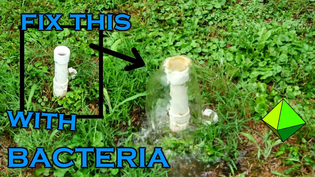 DIY Septic Tank Drain Field Restore (Leach Bed Flush)
