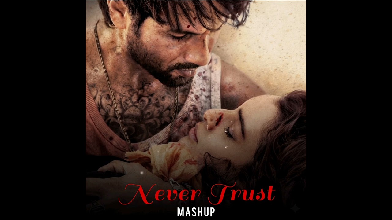Never Trust Mashup