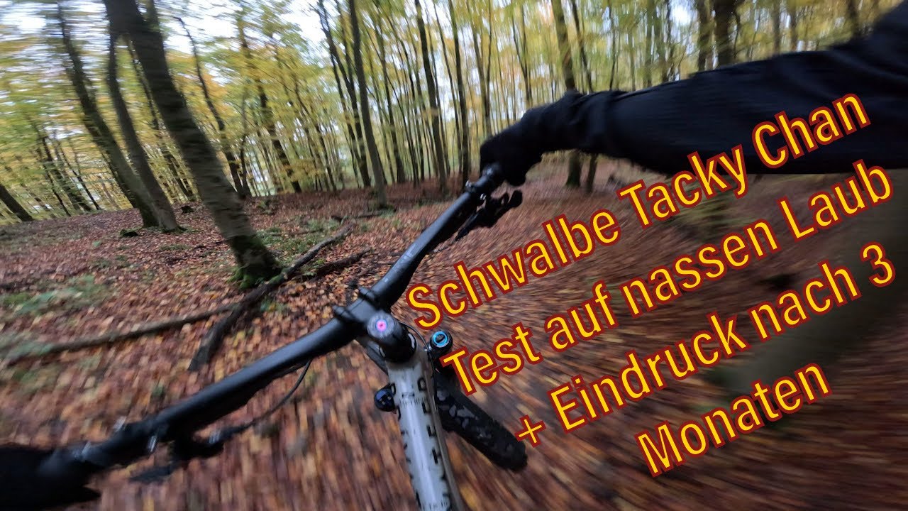 SCHWALBE TACKY CHAN - MEINE ERFAHRUNG nach 3 Monaten - Grip auf nassen Trails