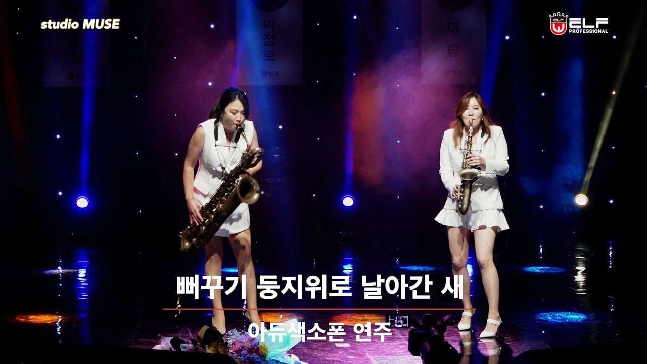 뻐꾸기 둥지위로 날아간 새 - 아듀 색소폰