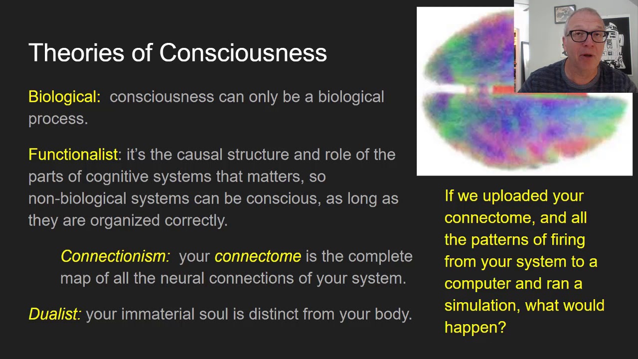 Chalmers' The Singularity II