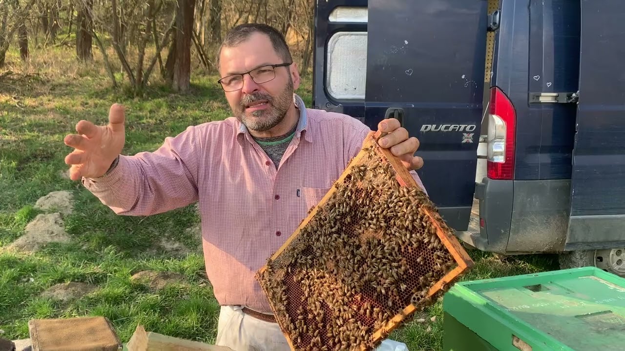 36/25 Druhé kolo podnícení BeeStrongem a o podněcování 25.3.25