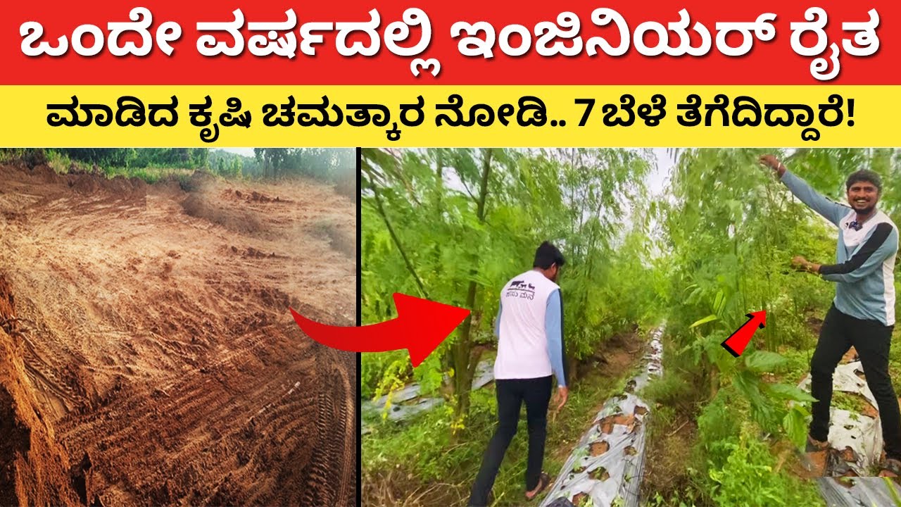 ಒಂದೇ ವರ್ಷದಲ್ಲಿ ಚಮತ್ಕಾರ ಮಾಡಿದ ಇಂಜಿನಿಯರ್ | Young farmer Farming ideas in Kannada agriculture Karnataka