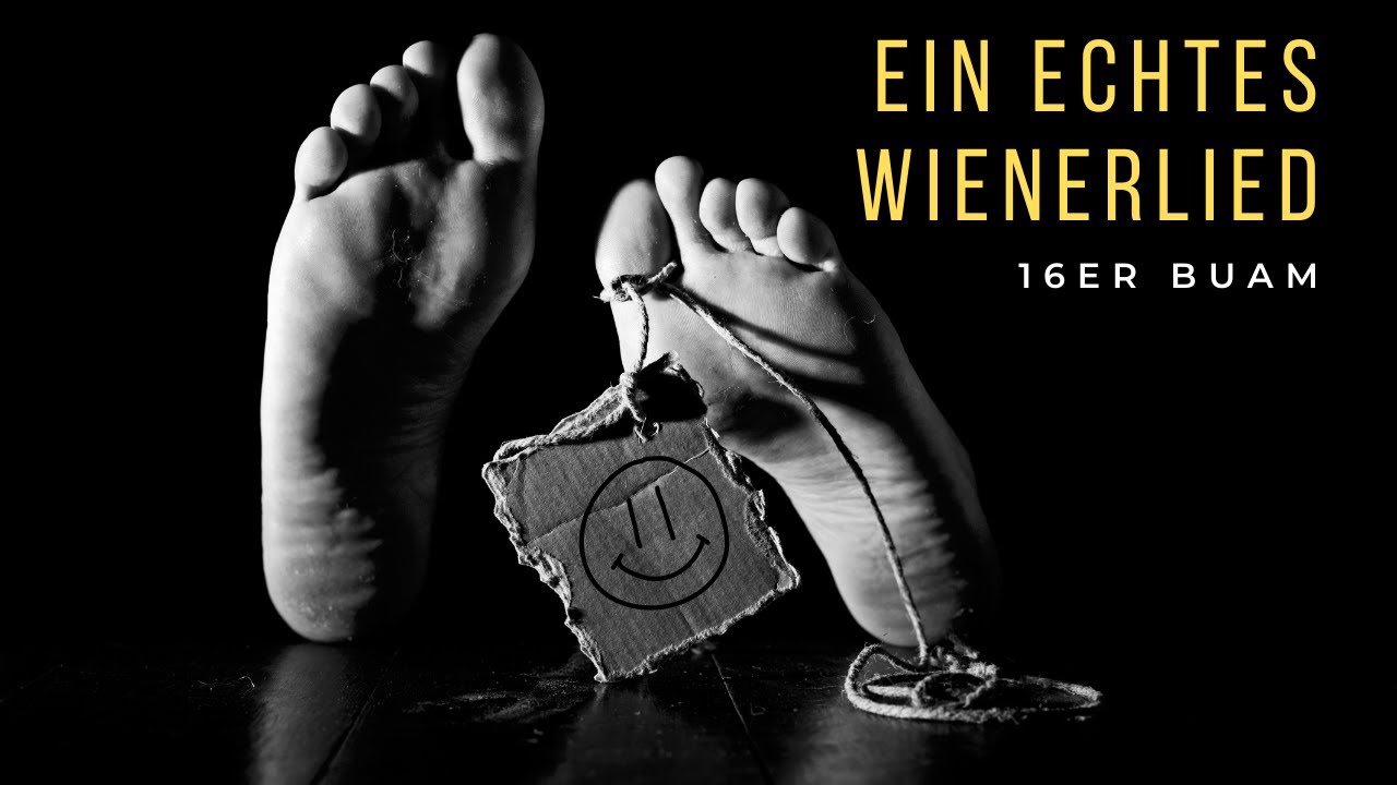 16er Buam / Ein echtes Wienerlied / Neues Wienerlied