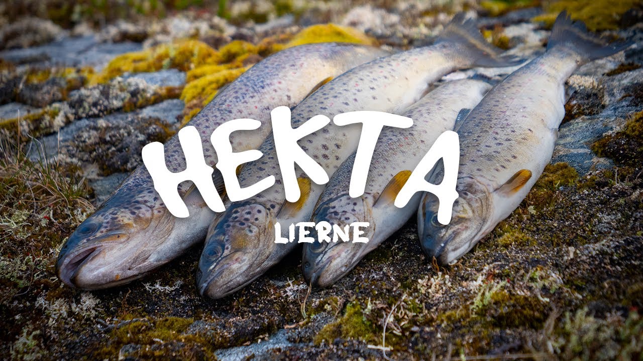 HEKTA Ep1 - Ørretfiske i Lierne
