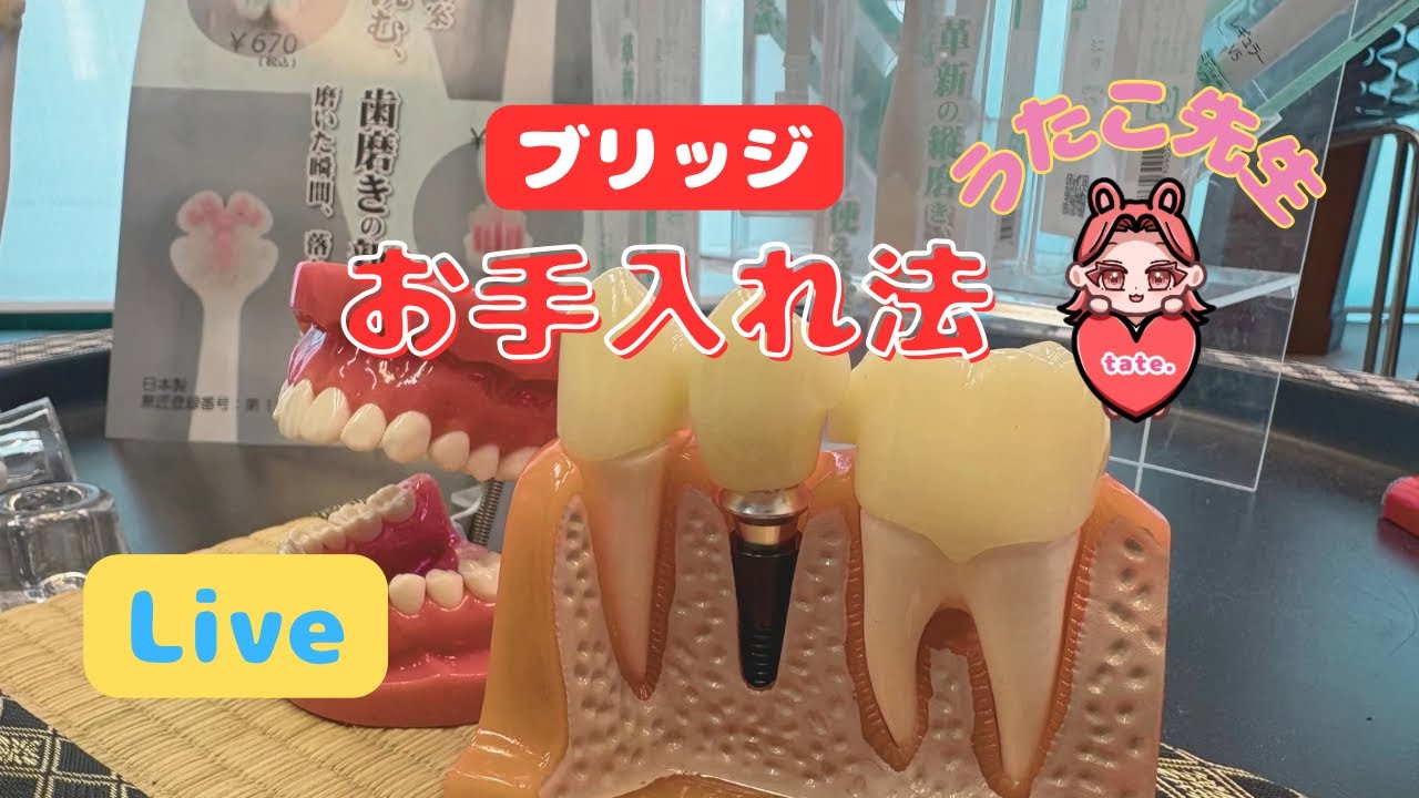 ブリッジのお手入れ法🦷