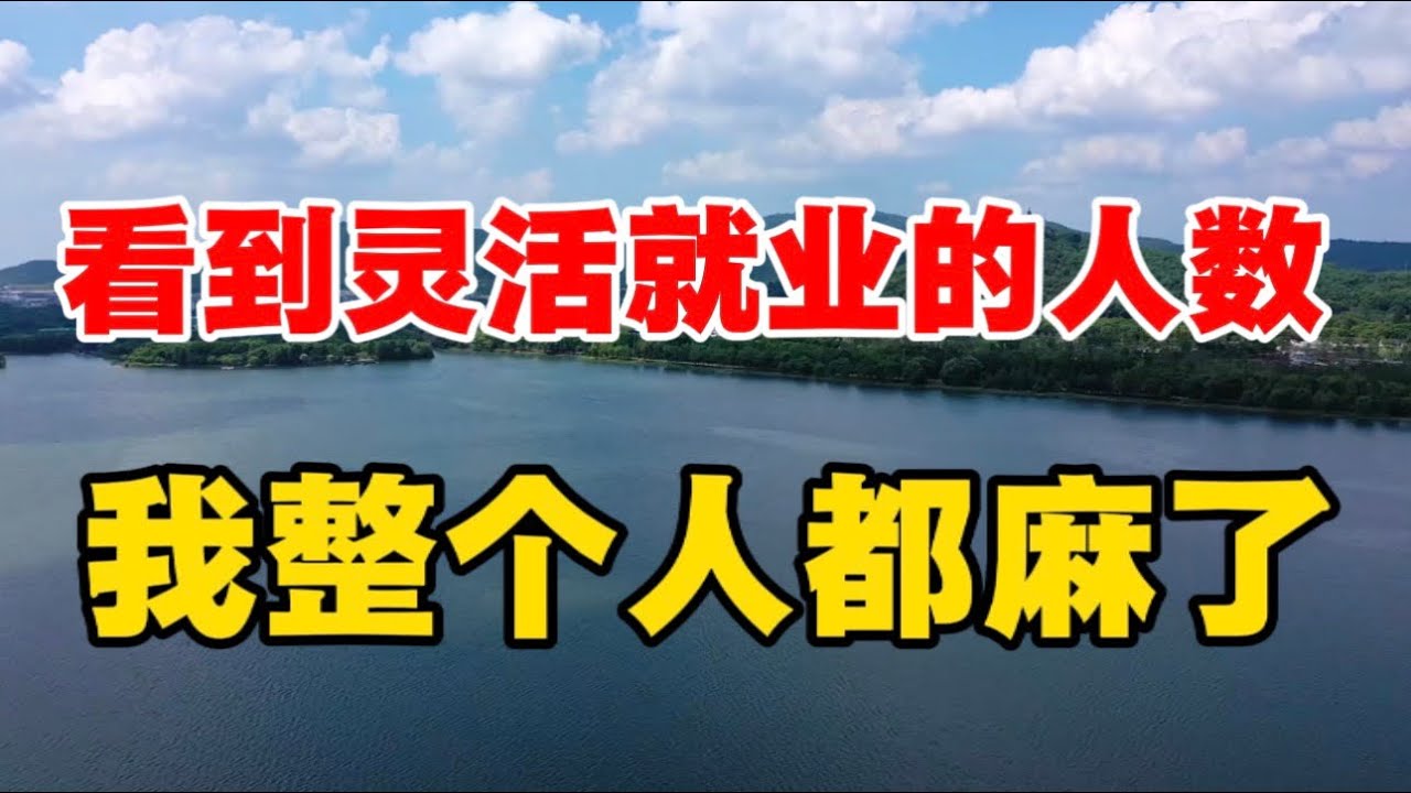 看到灵活就业的人数，我整个人都麻了！
